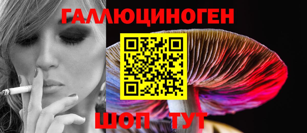 Березники  Галлюциногенные грибы Psilocybine cubensis  наркошоп  Вход с VPN  Псилоцибиновые грибы Psilocybe 